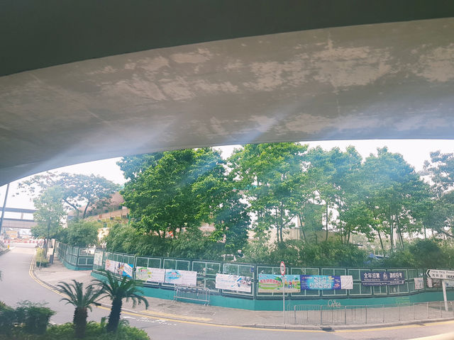 홍콩 빅버스 투어! 2층에서 제대로 즐기기🥰