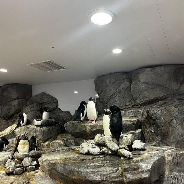 大阪旅行・海遊館&グルメツアー