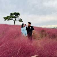 Anseong Farm Land