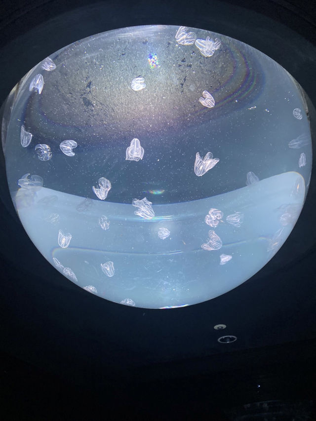 【池袋】屋上にある天空水族館🐟