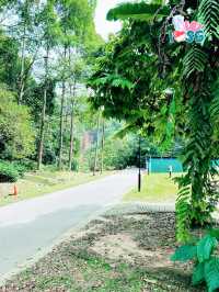 🇸🇬 Berry welcome to Bukit Batok Nature Park