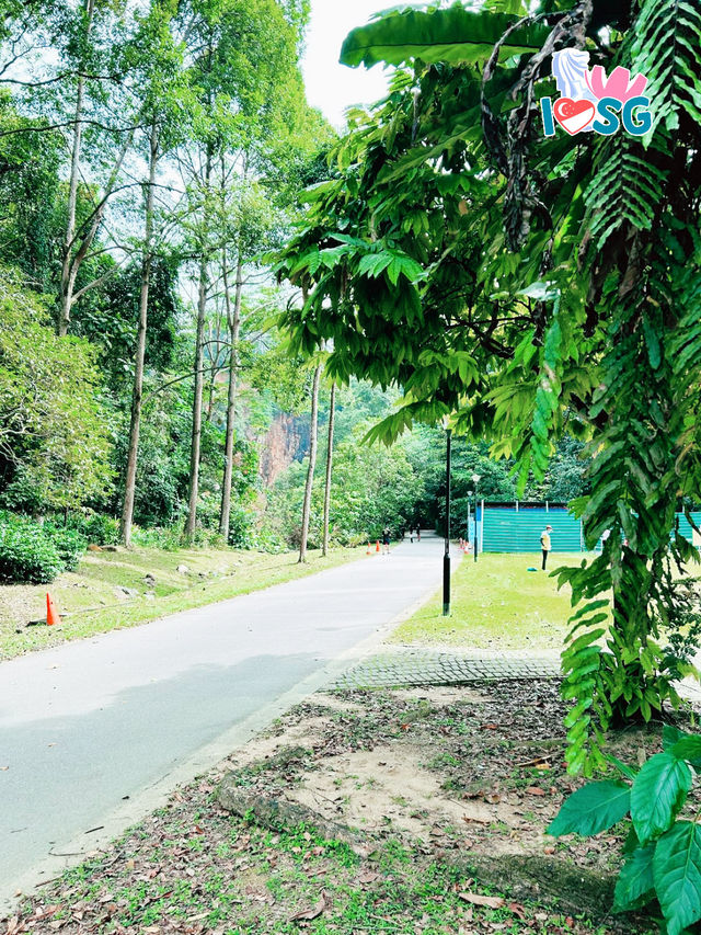 🇸🇬 Berry welcome to Bukit Batok Nature Park