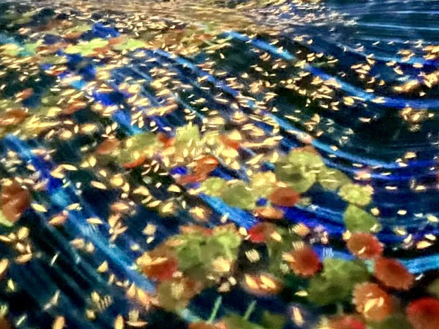 福岡TeamLab 森林-以森林為主題的沉浸式藝術展覧