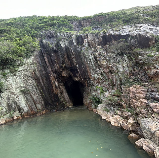 悠閒地和牛牛一起散步的萬宜水庫東壩遊覽時光
