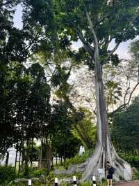 🇸🇬 Exploring Fort Canning Park in Singapore 