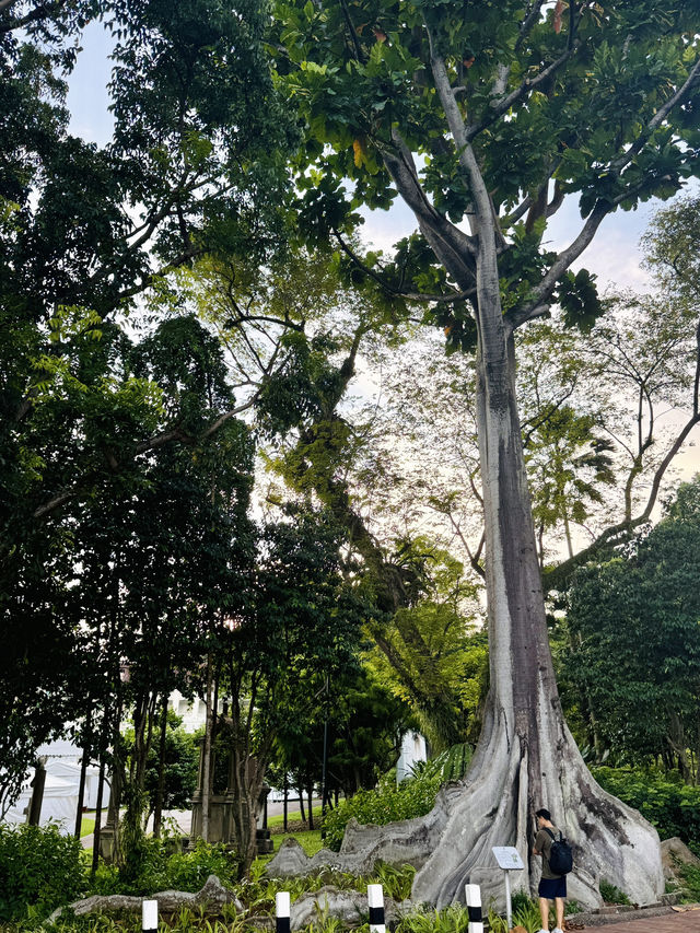 🇸🇬 Exploring Fort Canning Park in Singapore 