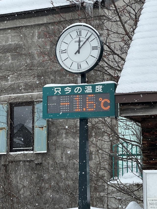 A Day Trip to Otaru: Exploring Hokkaido’s Historic Canal Town 🌊🏘️  