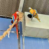 Pata Zoo Bangkok 