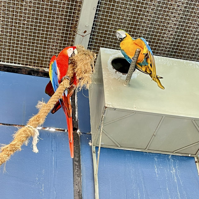 Pata Zoo Bangkok 