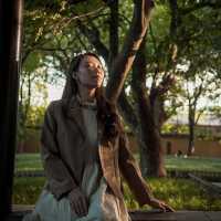 Very Zen place in Suzhou