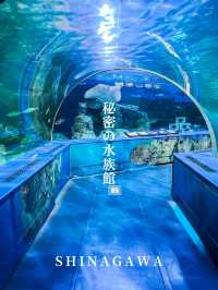 【 東京 品川 】本当は秘密にしたい東京の穴場水族館