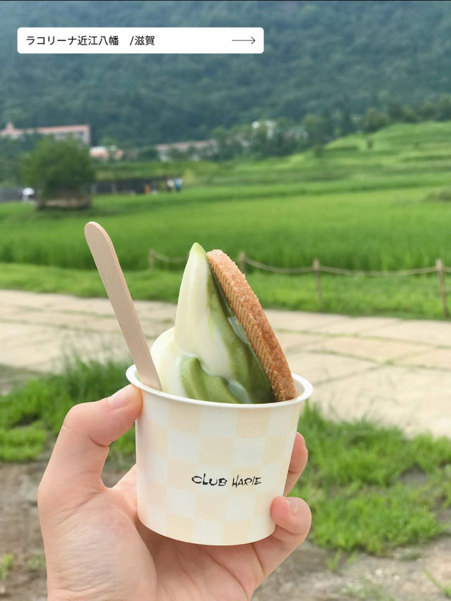 【芸術の秋がやってきた🎨！】関西のおすすめアートスポット厳選７選