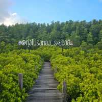 ทุ่งโปรงทอง ชมวิวเขียวขจีของธรรมชาติ