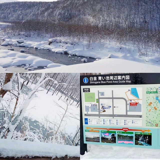 夢幻景觀的雪地