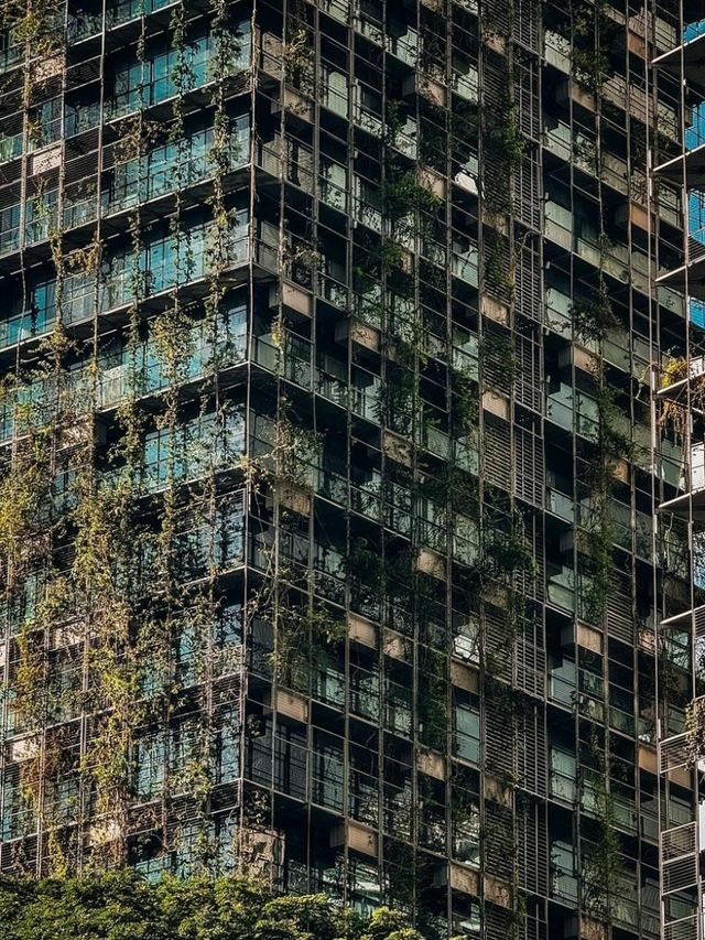 Kuala Lumpur: Where Skyscrapers Meet Culture! 🌆🌴