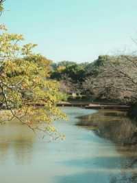 東京- 神奈川鐮倉江之島