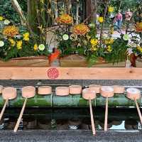【埼玉】花手水が美しい神社