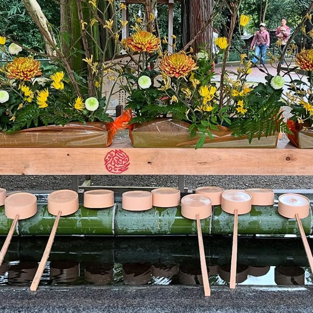 【埼玉】花手水が美しい神社