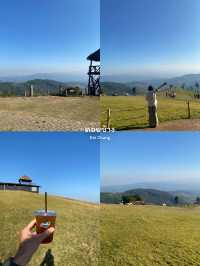9 พิกัดที่เที่ยวเชียงราย | ฤดูหนาว 🏡⛰️🌿🌼