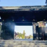 Pathway to Serenity: Strolling Through Nikko’s Ancient Cedars