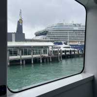 【NZ】クルーズ船でデポンポートへ🚢