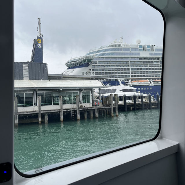 【NZ】クルーズ船でデポンポートへ🚢