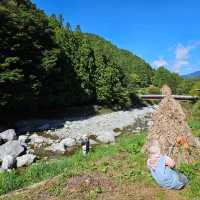 Nagoro: Japan's Enchanting "Scarecrow Village"