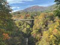 ใบไม้เปลี่ยนสีที่ Naruko Gorge 
