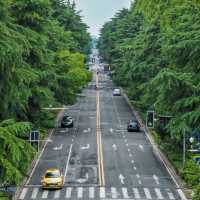 Nanjing - A City of Rich History and Modern Charm