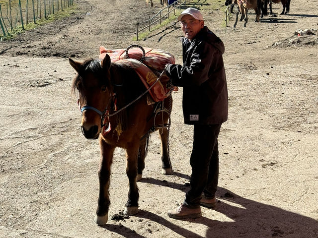 Riding Through Freedom: A Journey at Napa Lake, Shangri-La