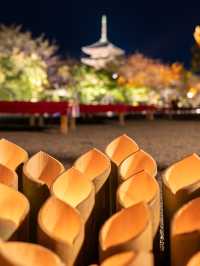\紅葉のライトアップ/京都と言えばまずはここ！「東寺」夜間特別拝観とは？？？