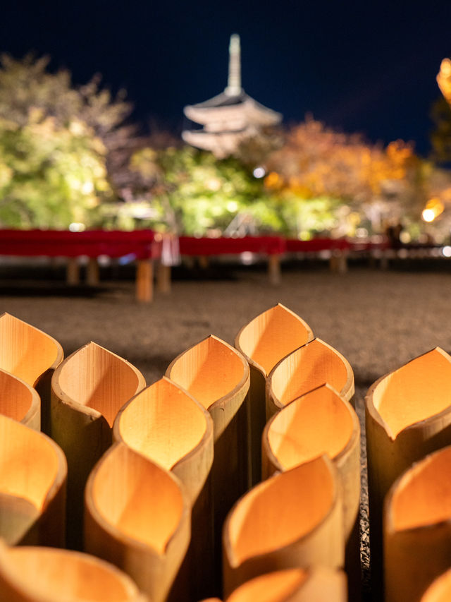 \紅葉のライトアップ/京都と言えばまずはここ！「東寺」夜間特別拝観とは？？？