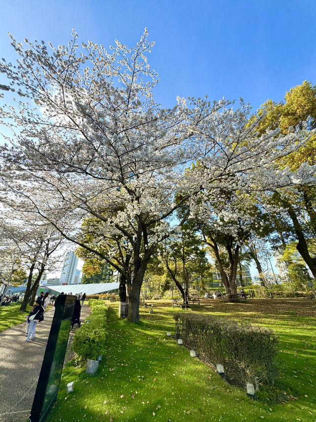 東京　東京観光　東京ミッドタウンは絶対に外せない観光スポット！