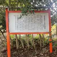 【おんせん県おおいた】美しい花手水に癒される嵐山瀧神社&三日月の滝