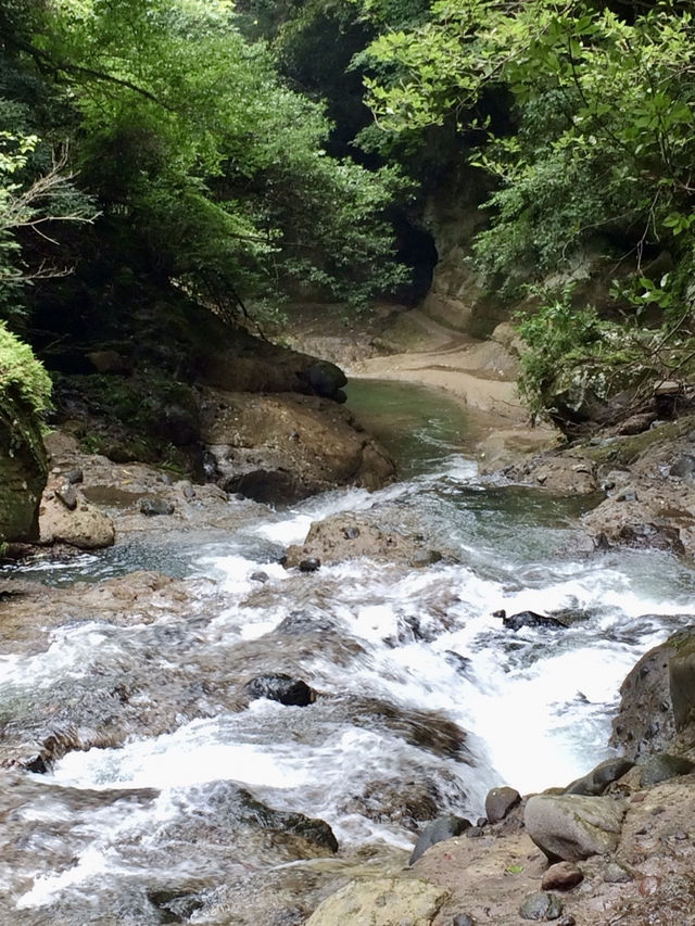 【安心院】日本の滝百選✨時を忘れる美しい滝✨