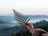 นอนโฮมสเตย์หลักร้อย ชมวิวหลักล้านที่แม่แดดน้อย🌿