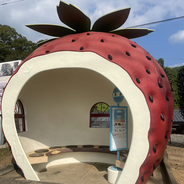 フルーツバス停通り🍓🍊🍉🍈