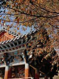  Beomeosa Temple: A Tranquil Escape in Busan