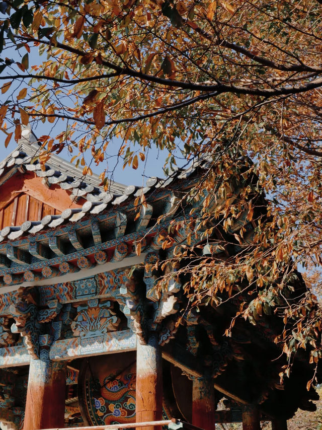  Beomeosa Temple: A Tranquil Escape in Busan