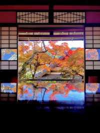 京都 ❤︎ 紅葉のリフレクションが素敵🍁✨秋のおすすめスポット❤︎