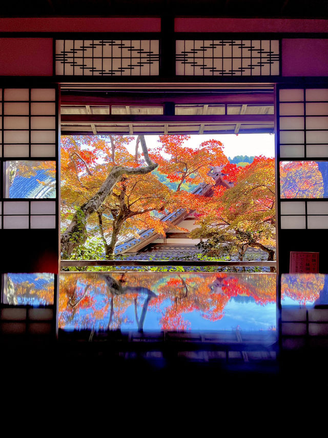京都 ❤︎ 紅葉のリフレクションが素敵🍁✨秋のおすすめスポット❤︎