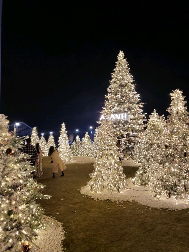 부산의 밤이 아름다운 아난티 트리빌리지