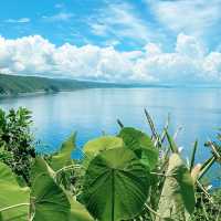 【沖縄本島・北部】辺戸岬近く、茅打バンタ