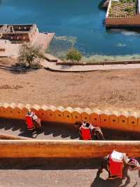 อินเดียคนเดียวก็เที่ยวได้ Jaipur 