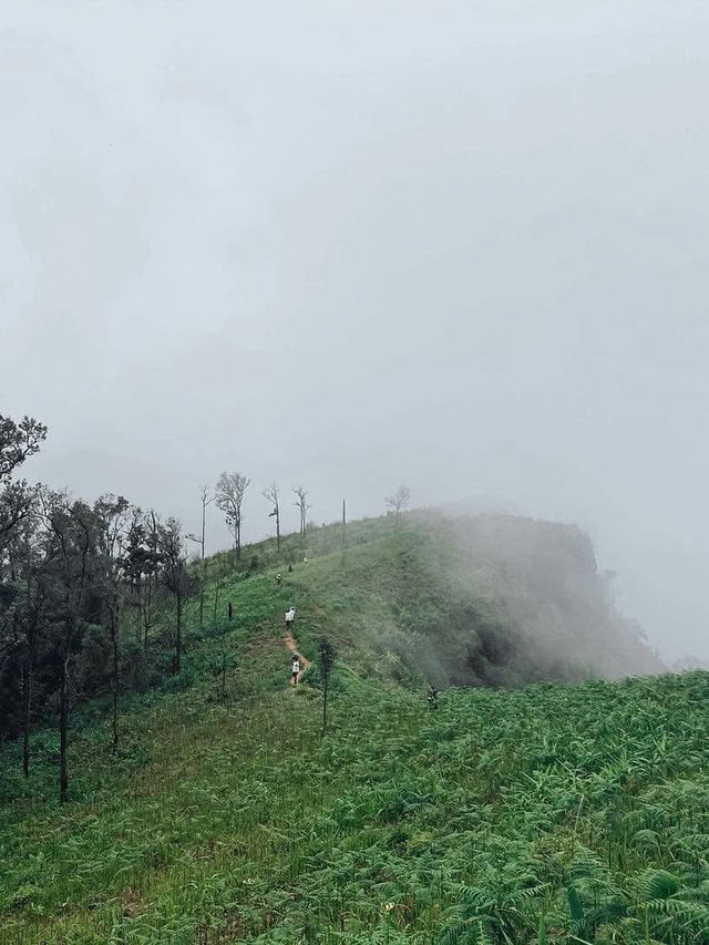 รีวิว ภูสอยดาวฉบับคนขี้เกียจก็ขึ้นได้ 🌳⛰️