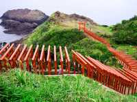 【山口県】世界が認めた絶景！123基の鳥居が並ぶ「元乃隅神社」