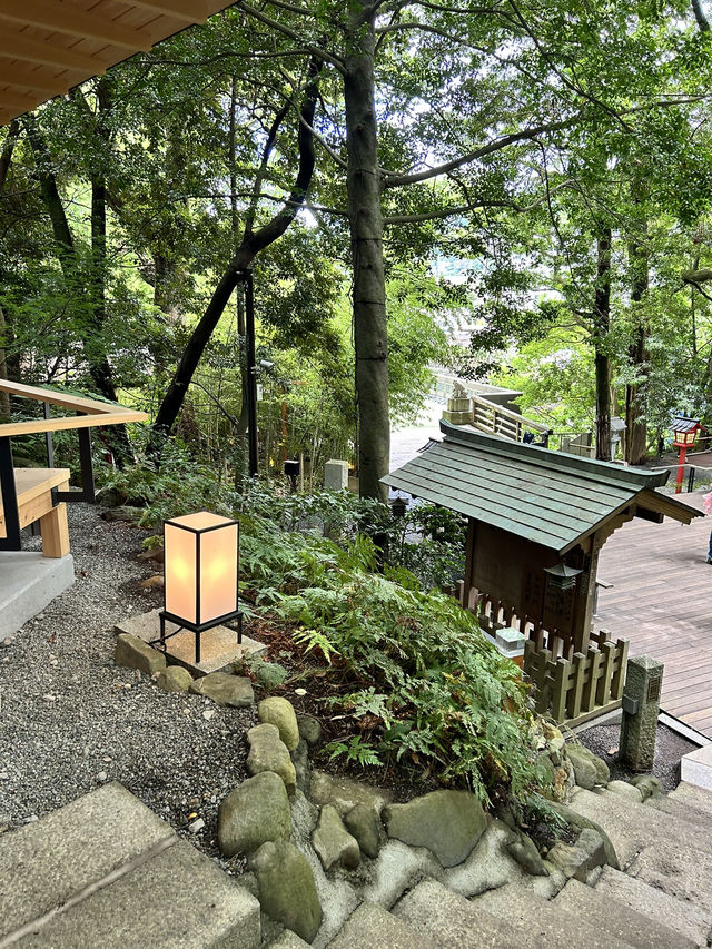 【熱海】来宮の杜で癒しとパワーをもらう旅🪄