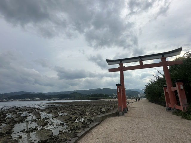 青島的自然生態岩石「鬼之洗衣板」及青島神社⛩️