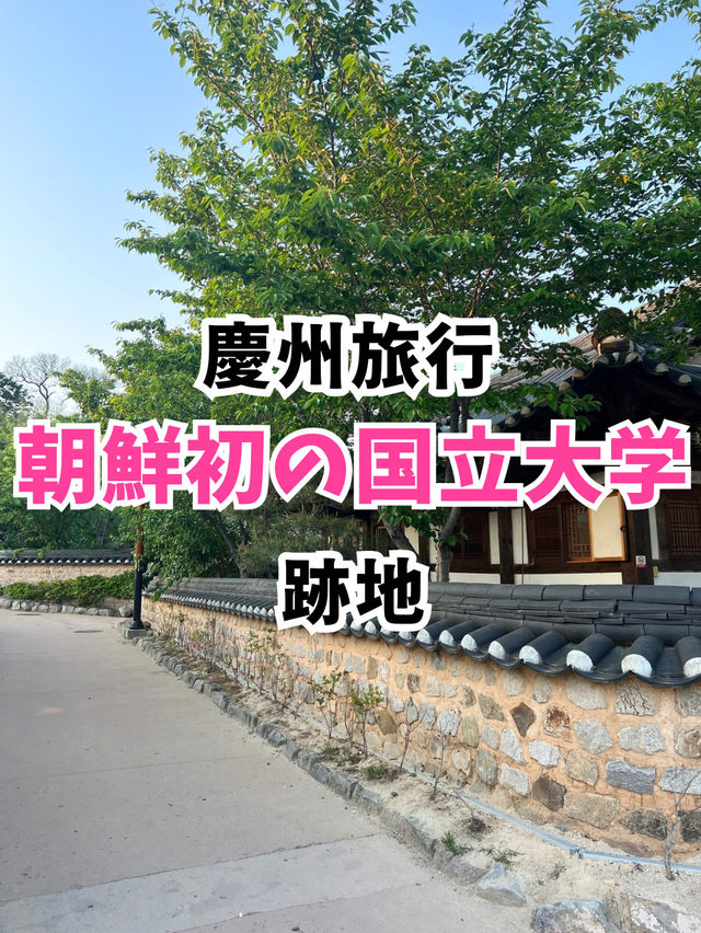 【韓国旅行】慶州／伝統韓屋が並ぶ朝鮮半島初の国立大学跡地
