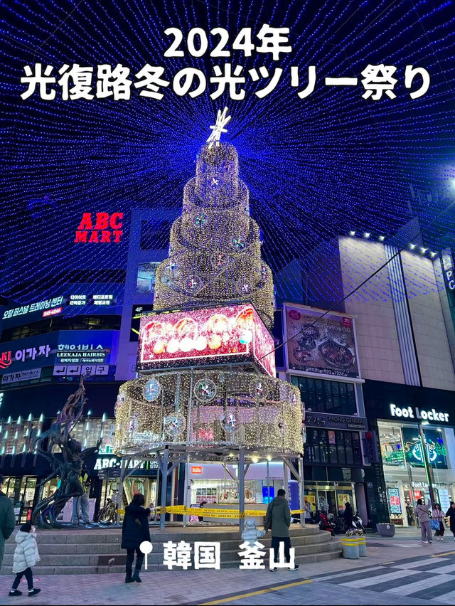 【韓国 釜山】2024光復路冬の光ツリー祭り🎄